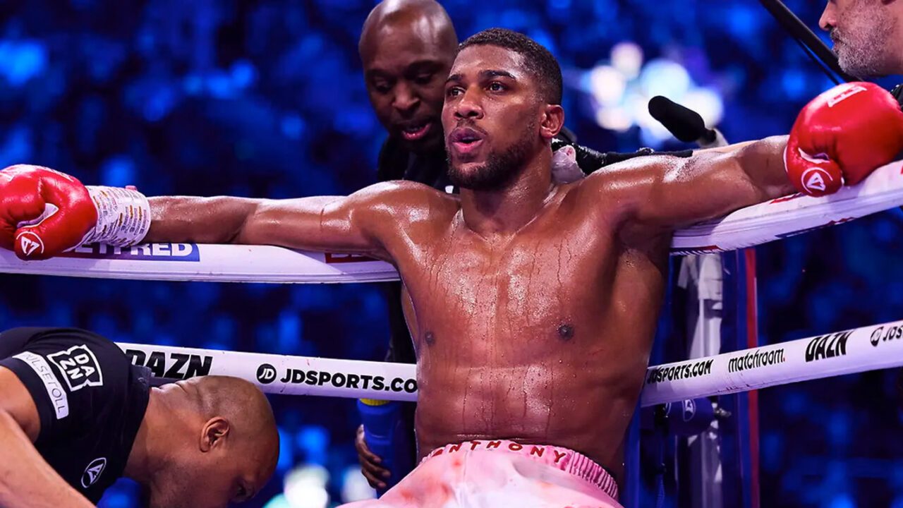 Большие боксеры Anthony Joshua